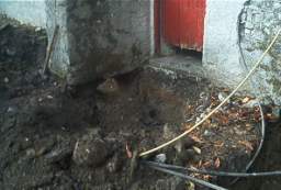 coolross 1250.JPG